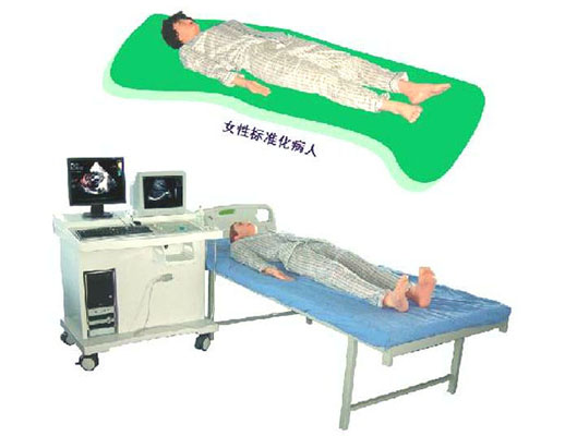 多媒体超声仿真病人模拟教学系统