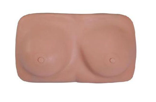 高级乳房检查模型