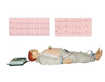 多种心电图电脑模拟人