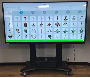 人体3D针灸腧穴解剖教学系统