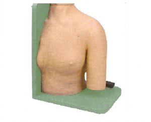 肩关节腔内注射模型