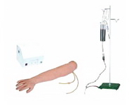 高级手臂静脉穿刺及肌肉注射训练模型（带循环装置）