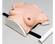 高级着装式乳房自检模型