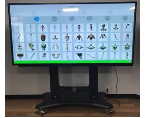 人体3D针灸腧穴解剖教学系统