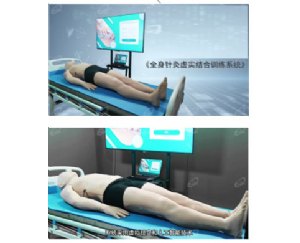 全身针灸虚实结合训练系统