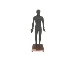 RY-170A多媒体按摩点穴电子人体模型